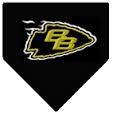 homeplate